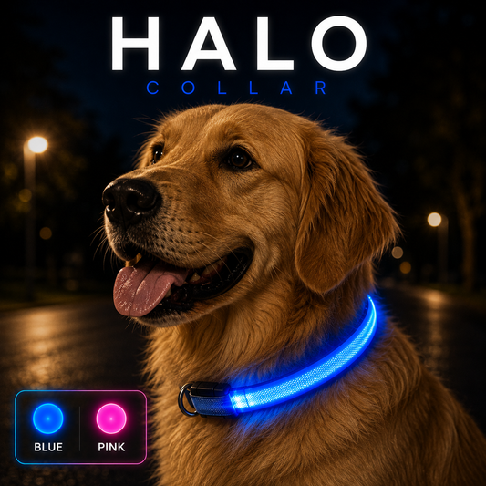 Halo Collar™ New LED Pet Collar, Luminous Collar